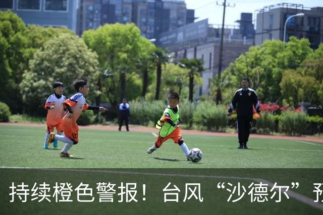 持续橙色警报！台风“沙德尔”预计将在28日凌晨至中午登陆